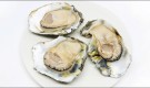 Eating raw oysters and shellfish may increase the risk of getting infected by human norovirus