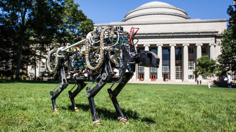 Autonomous robot in MIT