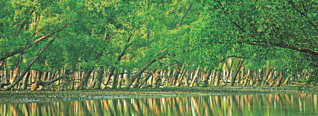 Sundarban under Danger
