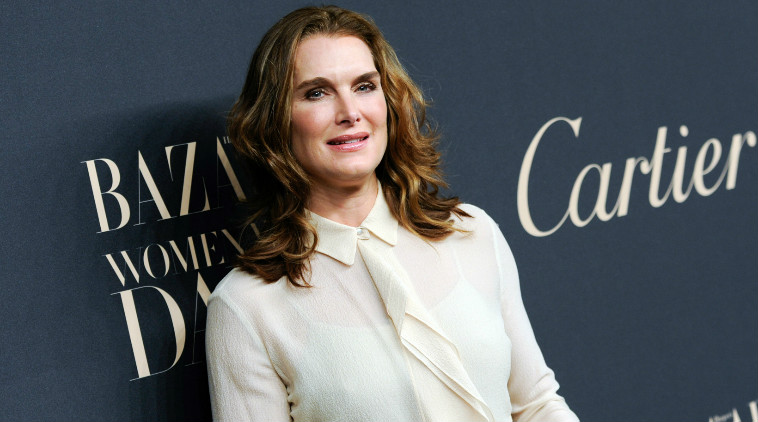 Brooke Shields injured her foot at an animal rescue