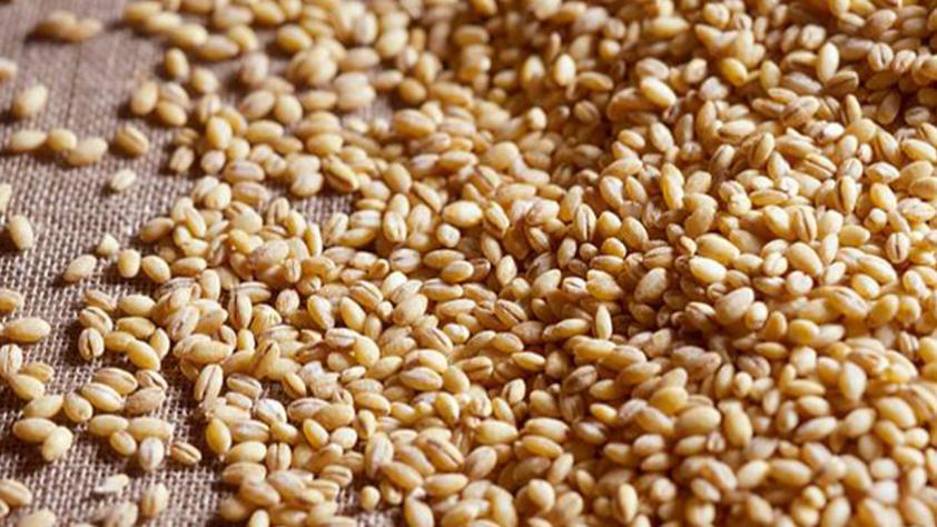 Supreme court upholds High Court order on Brazil wheat
