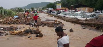 20 killed in tropical storm in  Dominica