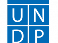 UNDP announces online consultations