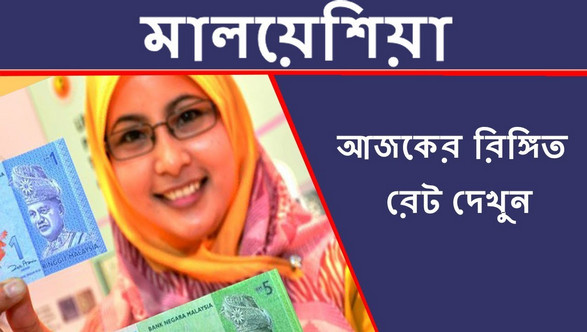 কমেছে মালয়েশিয়ান রিংগিত রেট, দেখেনিন আজকের রেট কত
