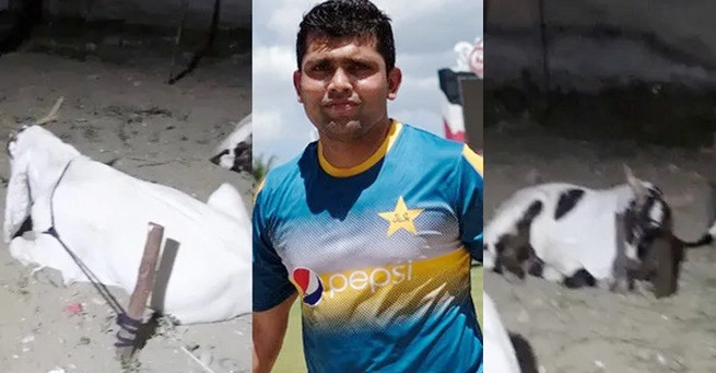 কামরান আকমলের কোরবানির ছাগল চুরি