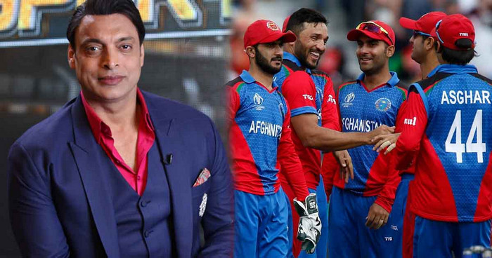 আফগানদের উপদেশ দিলেন শোয়েব