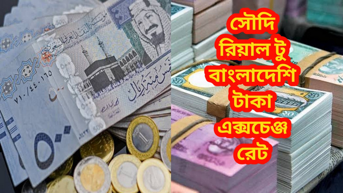 কমলো সৌদি রিয়াল রেট, দেখেনিন আজকের রেট