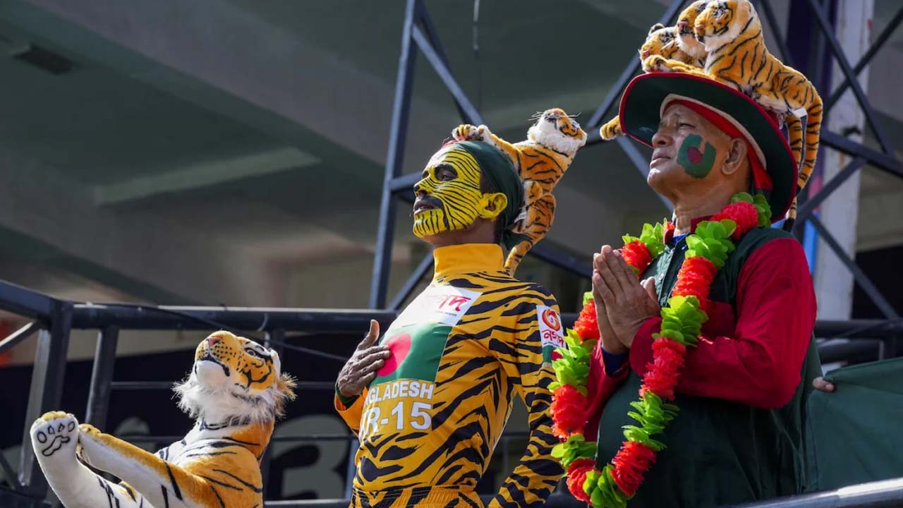 মাঠে মিরাজরে ফিফটি, গ্যালারিতে টাইগার ভক্তের গর্জন