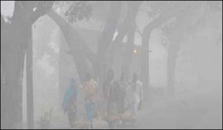 ১৩ জেলায় শৈত্যপ্রবাহ সবচেয়ে কম যেখানে, জানালো আবহাওয়া অফিস