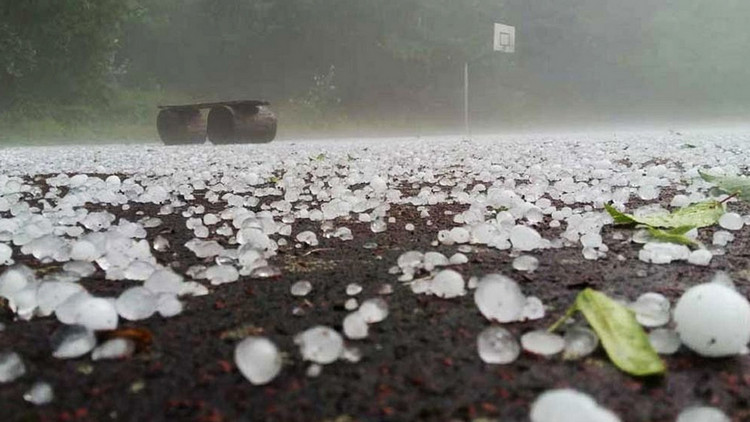 চলছে সোনা কেনার উত্তম সময়, আরও কমলো সোনার দাম