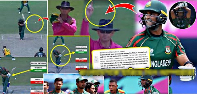 বিপদে পড়ছে বাংলাদেশের বিপক্ষে সিদ্ধান্ত দেয়া সেই আম্পায়ার, ক্ষোভে উত্তাল ক্রিকেটবিশ্ব