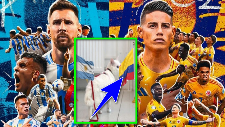 কোপার ফাইনালের একদিন আগে জ্যোতিষ বিড়াল ‘অ্যাকিলিস’ জানিয়ে দিল কোন দল হবে চ্যাম্পিয়ন