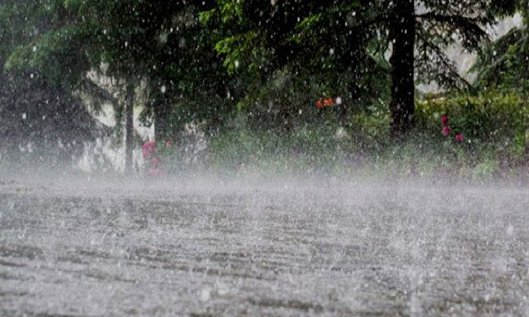 মৌসুমী বায়ুর প্রভাবে ভারী বর্ষণ: বৃষ্টিপাত বাড়ার পূর্বাভাস ও লঘুচাপের আশঙ্কা