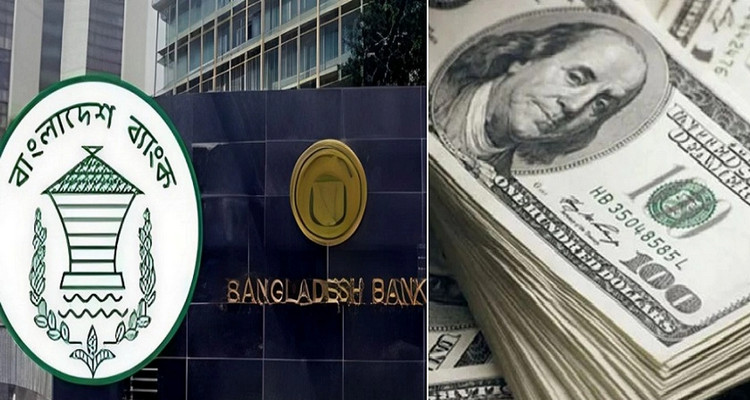 অবিশ্বাস্য হারে বাড়লো ডলারের দাম, দেখেনিন আজকের রেট কত