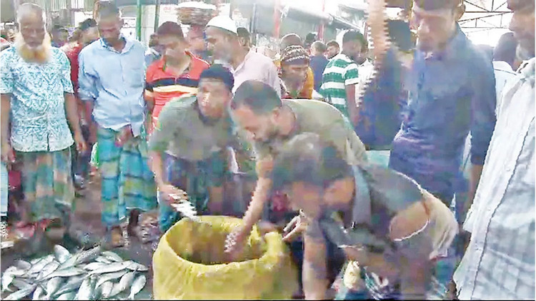 সাবেক অধিনায়ক কাজ করছেন মাছ বাজারে, জীবন সংগ্রামের এক জীবন্ত গল্প