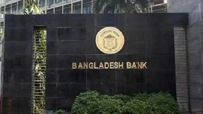 এখন থেকে বিদেশে যত খুশি ডলার সাথে নিতে পারবেন যারা