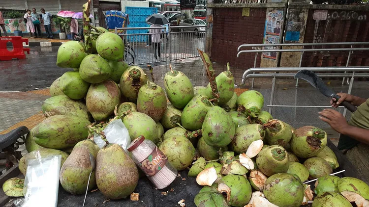 শীতকালে ডাব খাওয়া: সুস্থ শরীরের জন্য প্রাকৃতিক টনিক