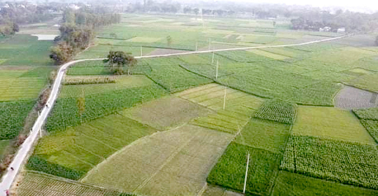 খাস হয়ে যেতে পারে ৯ ধরনের জমি