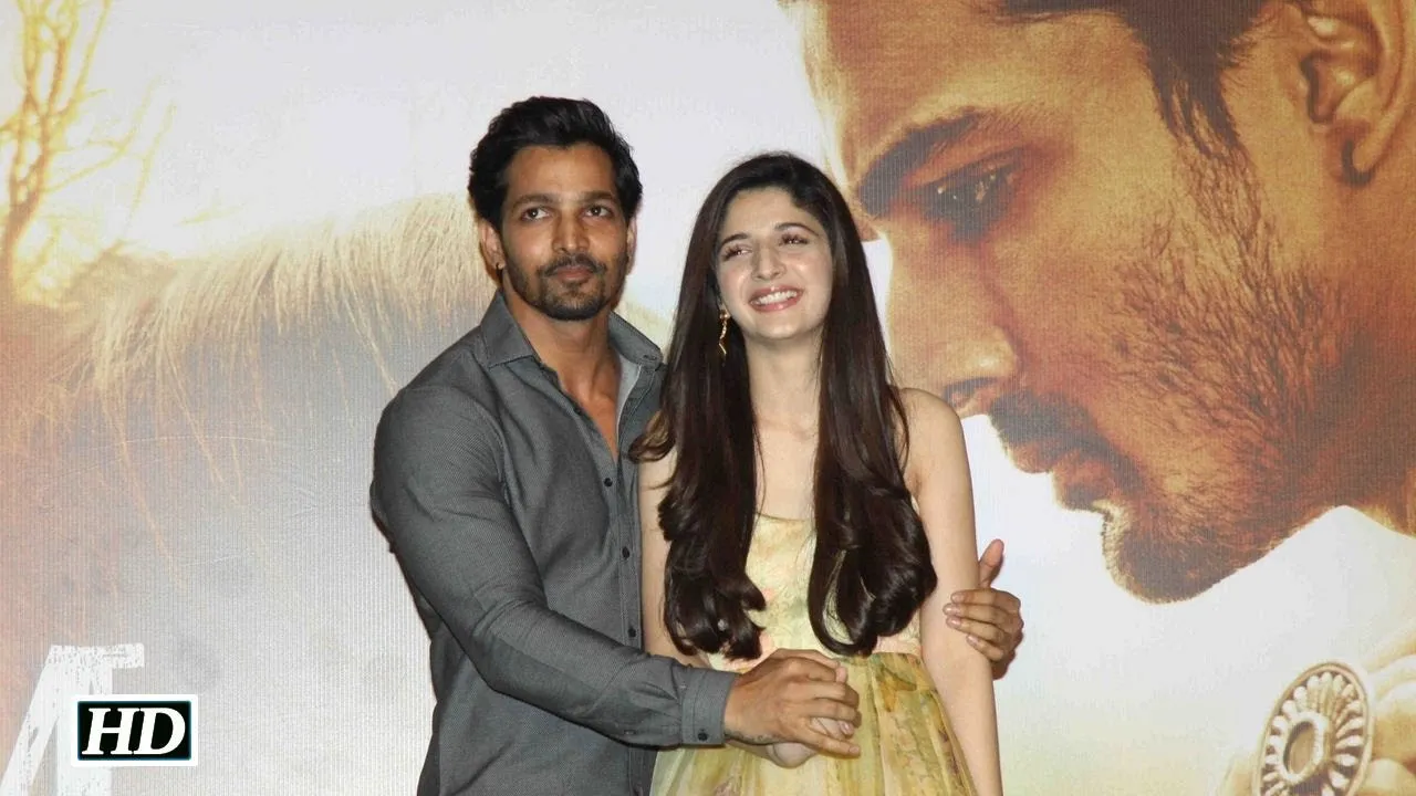 বক্স অফিসে বাজিমাত করলো ‘Sanam Teri Kasam’