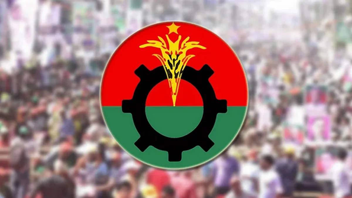 বিএনপি চাইলেই এককভাবে সরকার গঠন করতে পারত