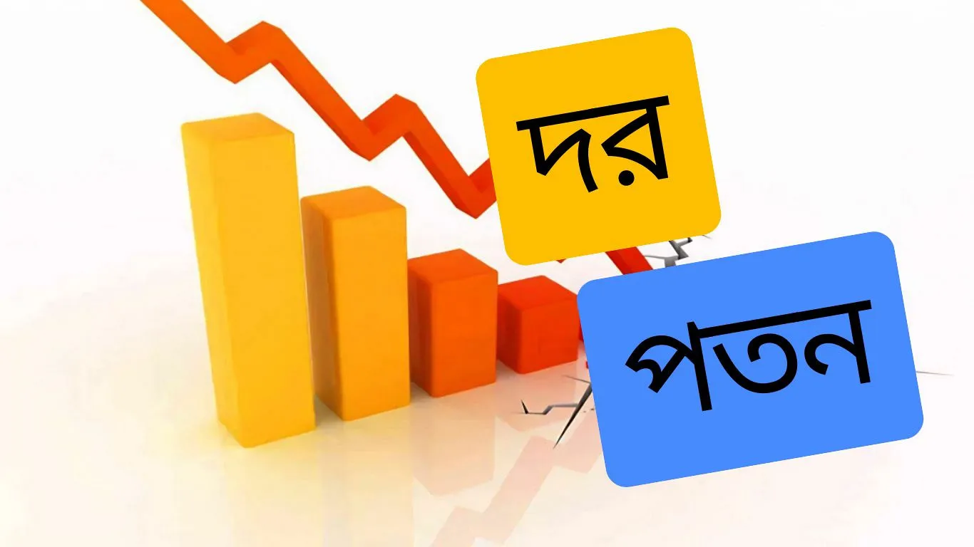 ডিএসইতে দর পতনের শীর্ষ ১০ শেয়ার