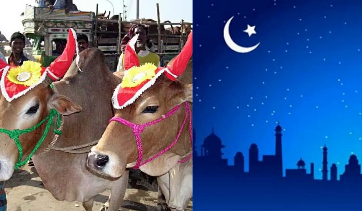 কবে উদযাপিত হবে কোরবানির ঈদ, সম্ভাব্য তারিখ ঘোষণা