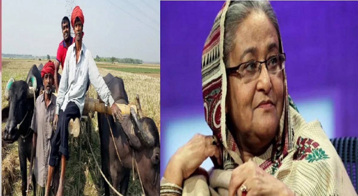 শেখ হাসিনার পতনে গ্রামের চিত্রপট বদলেছে