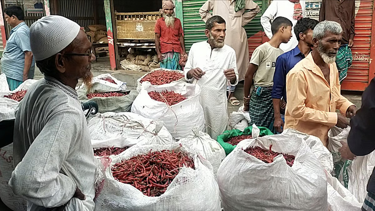 একলাফে কেজিতে ১০০ টাকা কমলো শুকনো মরিচের দাম