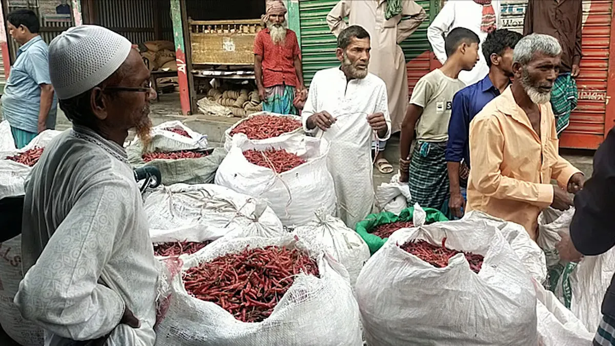 একলাফে কেজিতে ১০০ টাকা কমলো শুকনো মরিচের দাম