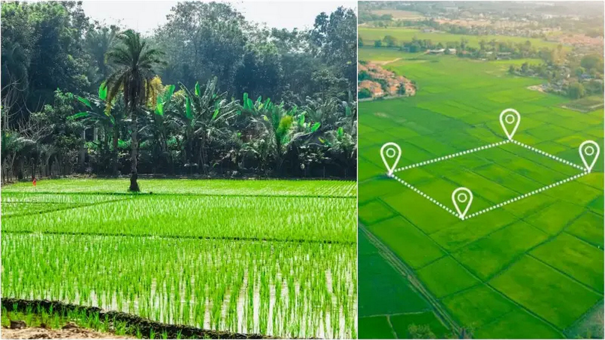 নামজারি থেকে দলিল—ঘরে বসেই পাবেন সব জমির তথ্য
