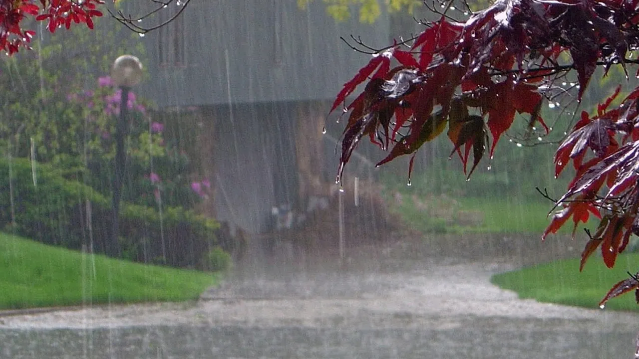 আজকের আবহাওয়া: টানা ১০ দিন ভারী বর্ষণ, ৪ সমুদ্রবন্দরে ৩ নম্বর সতর্কতা জারি