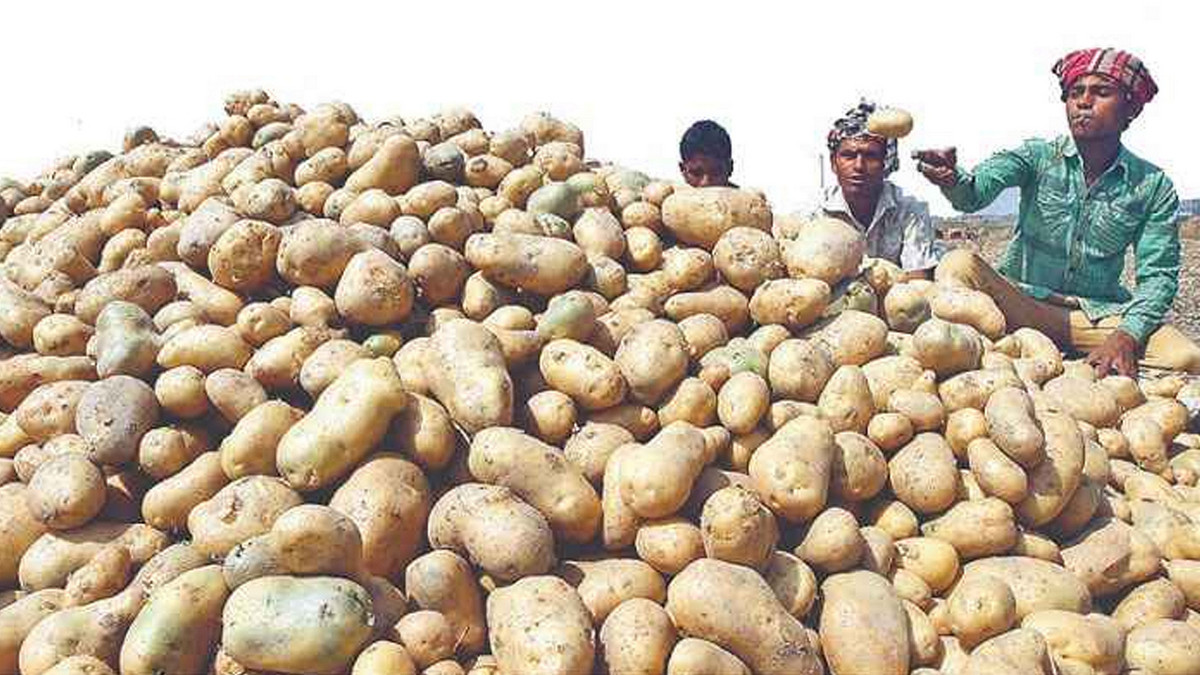 হিমাগারে আলুর দাম নির্ধারণ করে দিল সরকার
