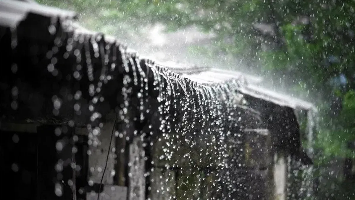আবহাওয়া আপডেট: ৪ বিভাগে ভারী বৃষ্টির পূর্বাভাস