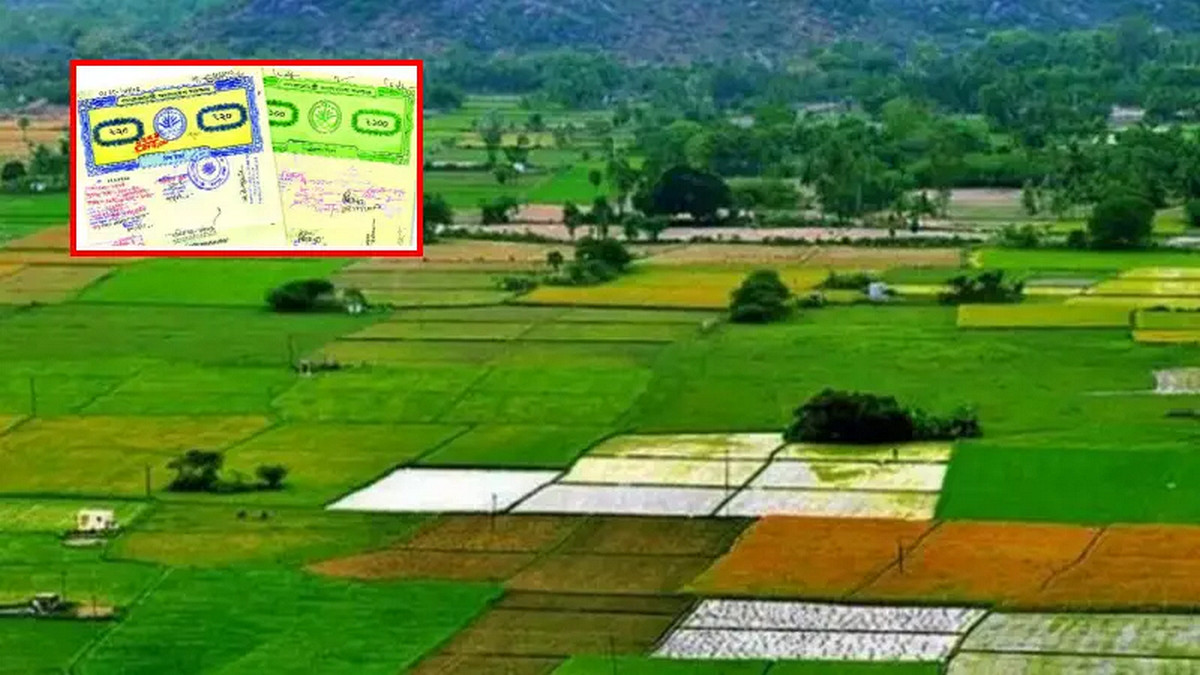 সাবধান! আপনার নামজারি বাতিল হতে পারে এই ১০ কারণে