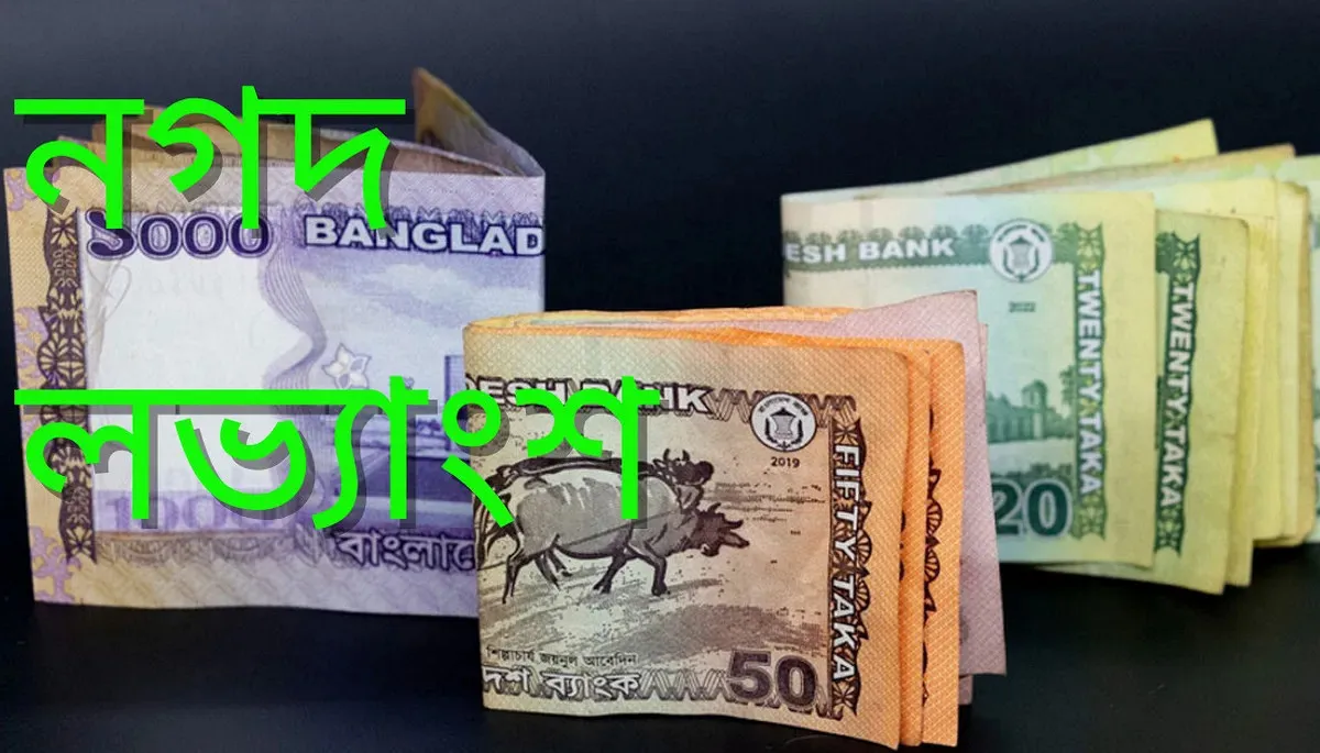 বিনিয়োগকারীদের জন্য ৫০% লভ্যাংশ ঘোষণা: ২৫% নগদ, ২৫% স্টক