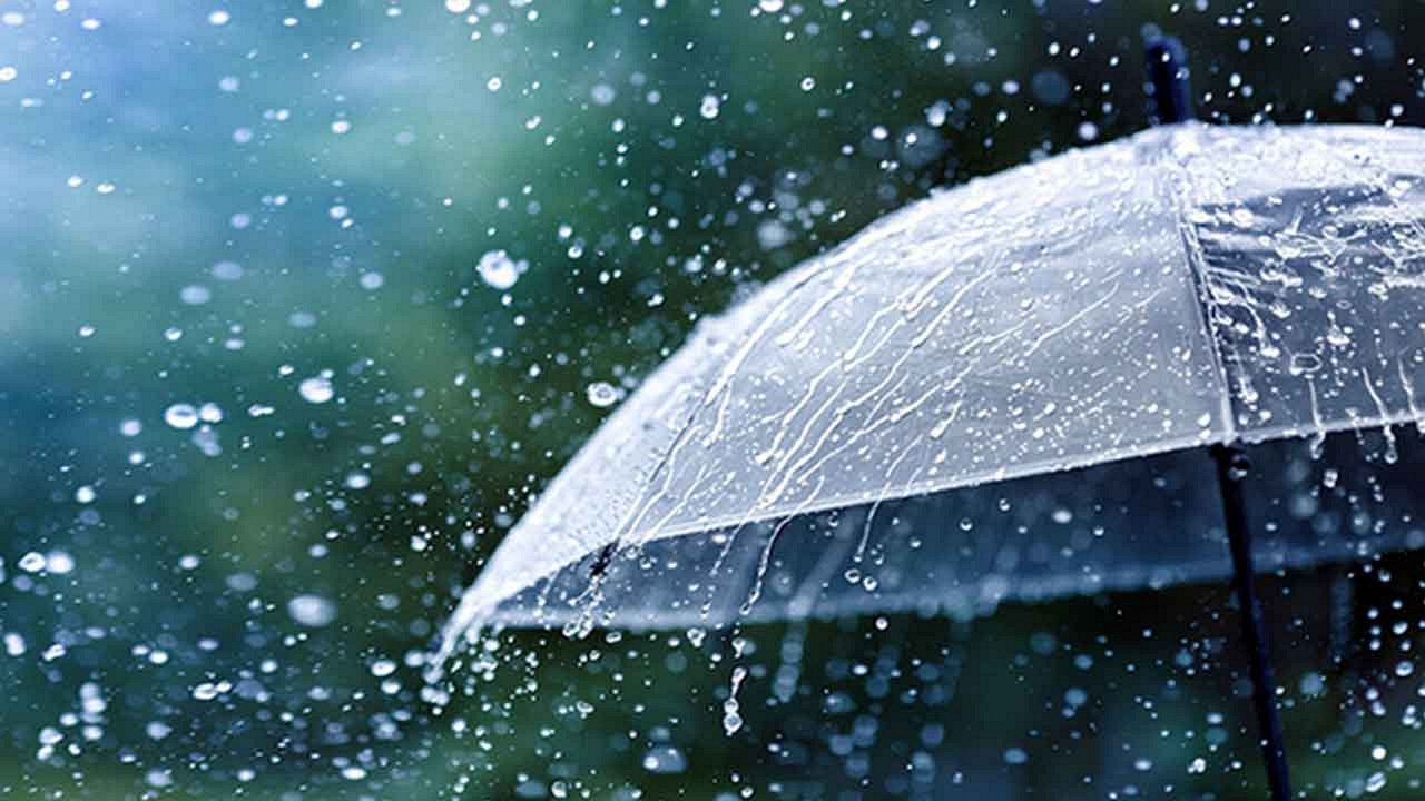 আবহাওয়ার খবর: দেশের ২৯ জেলায় বৃষ্টির পূর্বাভাস