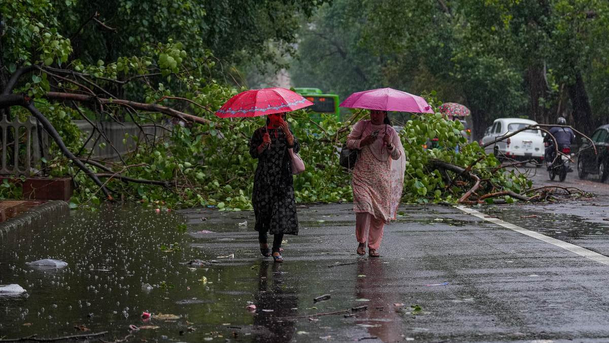 আবহাওয়ার খবর: বঙ্গোপসাগরের লঘুচাপ ৪ বিভাগে বৃষ্টির পূর্বাভাস