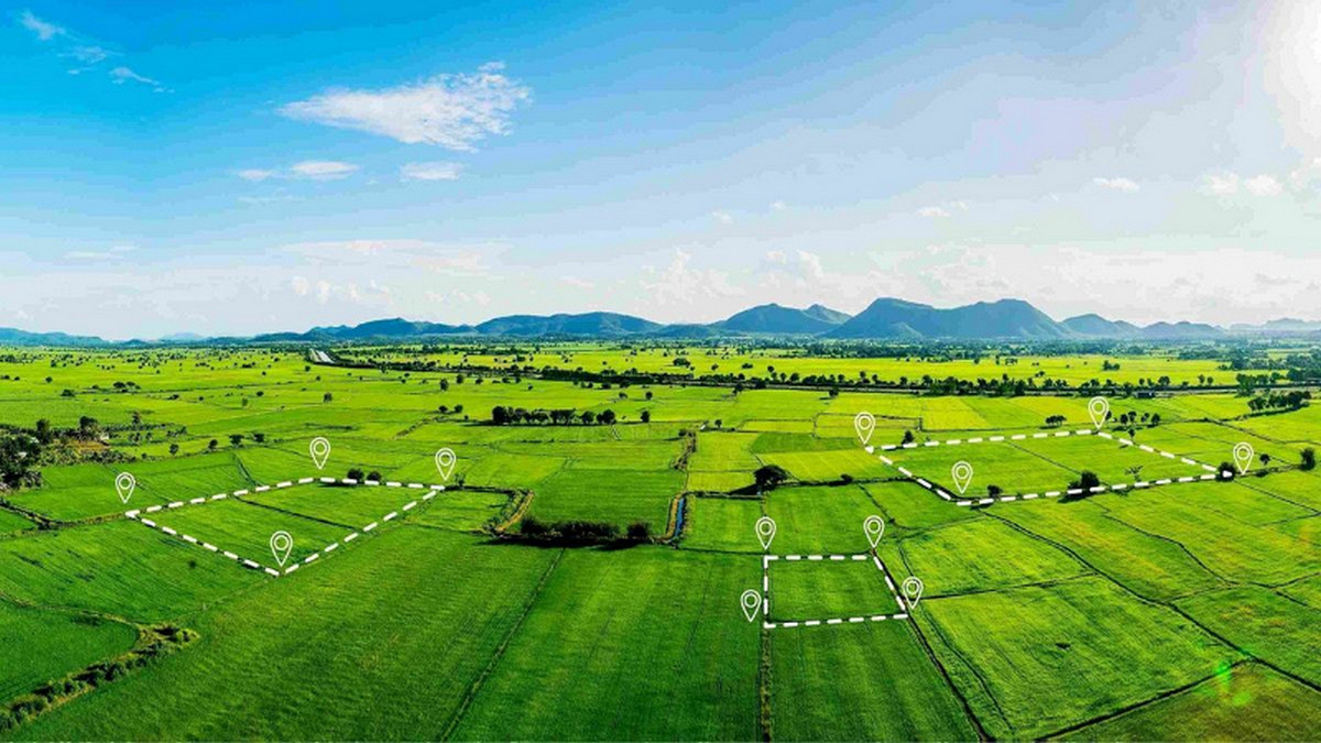 মাত্র একটি নথির জোরেই বেদখল জমি ফিরে পাবেন আপনি!