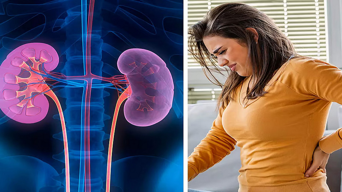 কিডনির সমস্যায় শরীরে যে ৭টি লক্ষণ দেখা যায়, জেনেনিন সময় থাকতেই