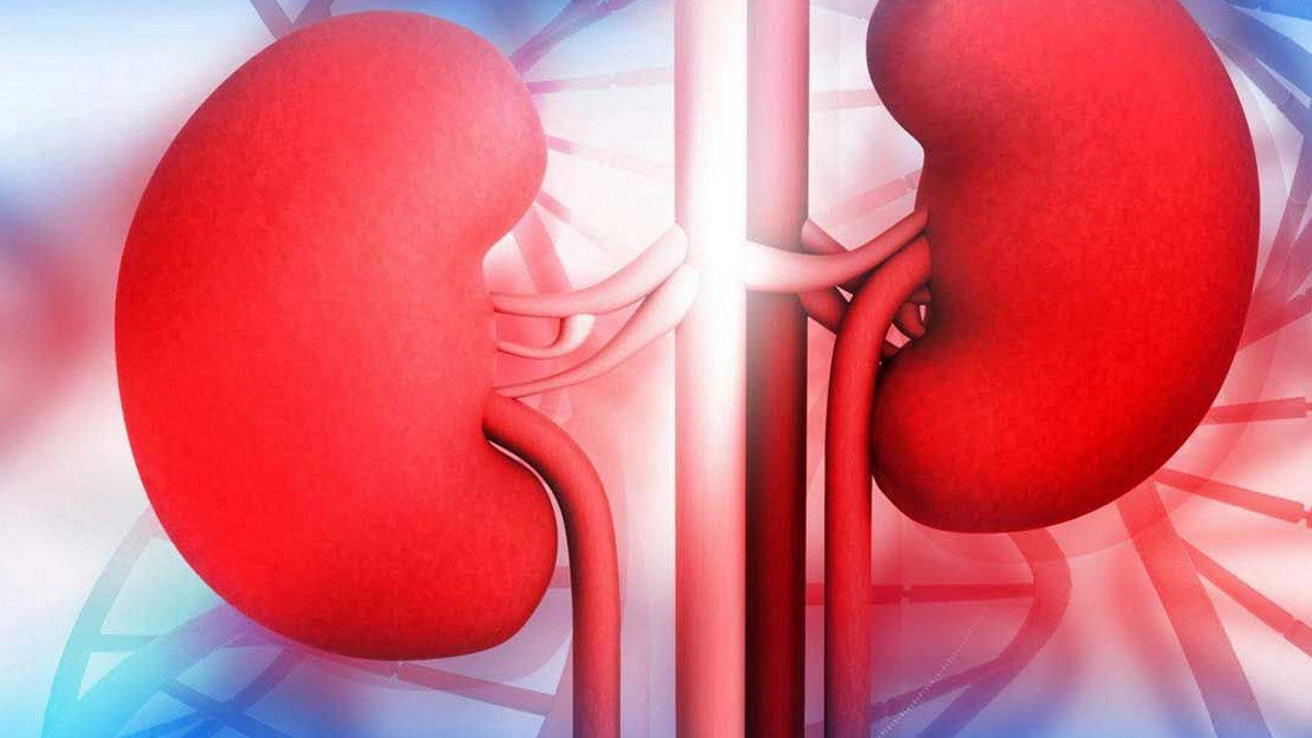 কিডনি বিকল হওয়ার আগে শরীর দেয় ৮ ইঙ্গিত, এখনই সতর্ক হোন