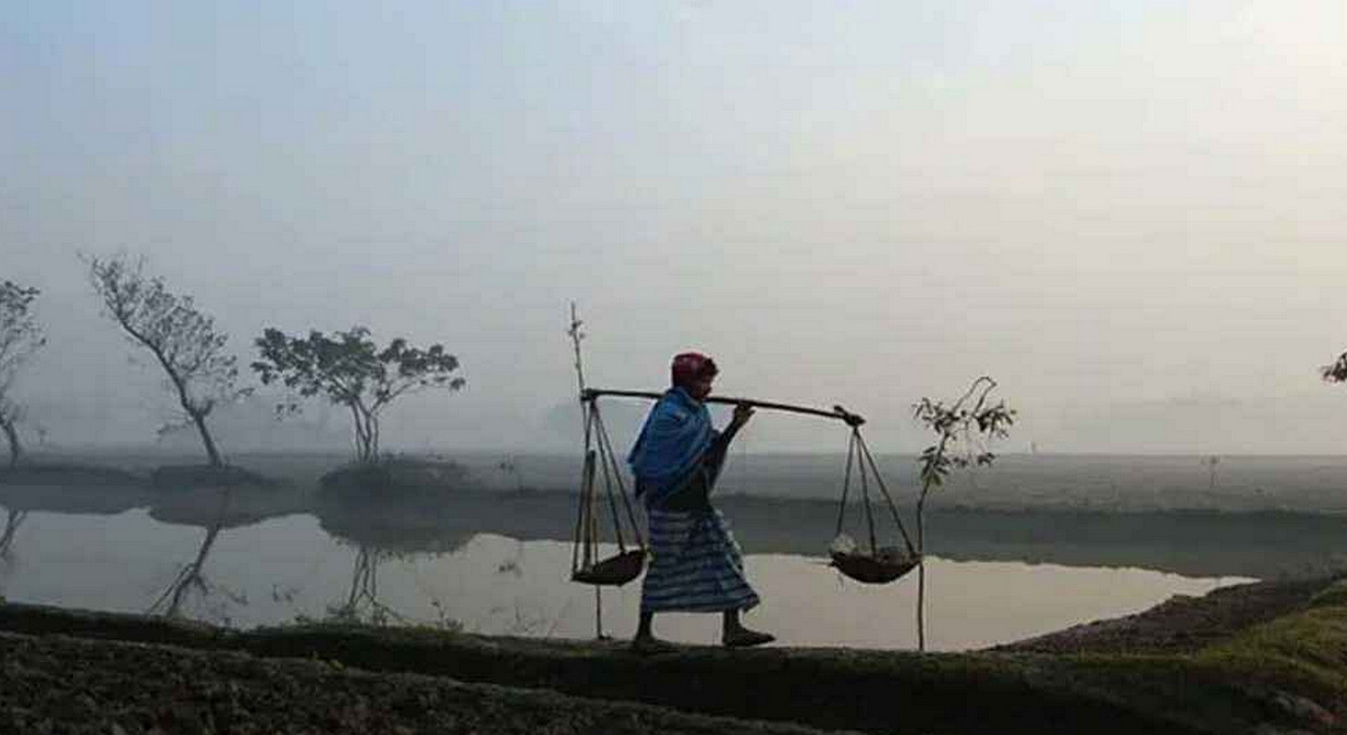 আবহাওয়ার খবর: তাপমাত্রার সূচক নিম্নগামী, আসছে একাধিক শৈত্যপ্রবাহ