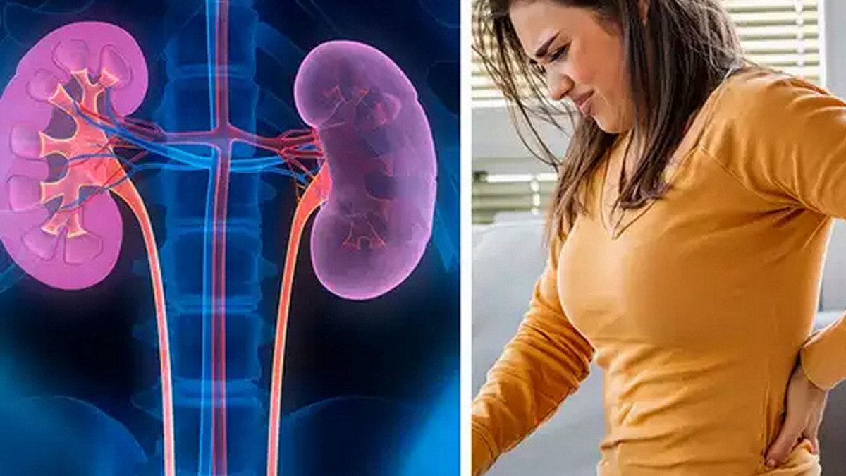 কিডনি বিকল: বিপদ বাড়াবে ৫ খাবার! কী খাবেন, কী খাবেন না