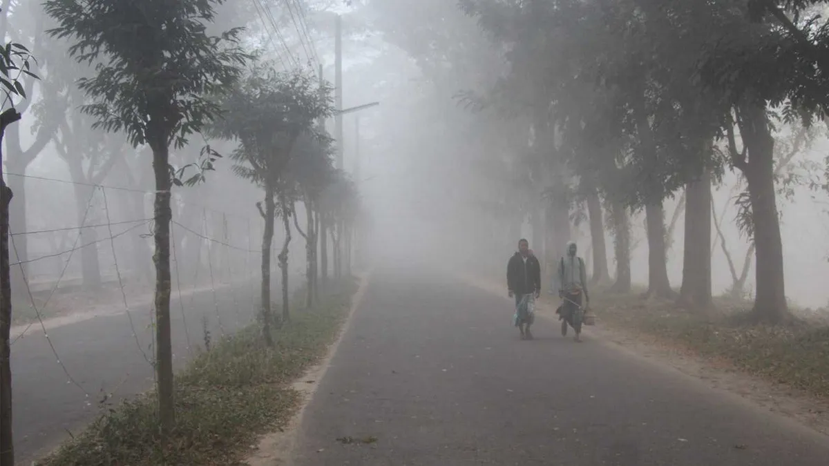 আজকের আবহাওয়ার আপডেট ও পূর্বাভাস: (সোমবার, ২৪ নভেম্বর ২০২৫)