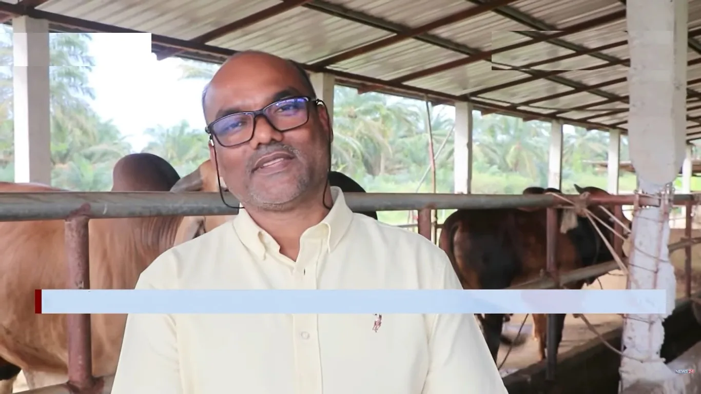 মালয়েশিয়ায় গরুর খামার করে কোটিপতি জয়নাল (ভিডিওসহ)