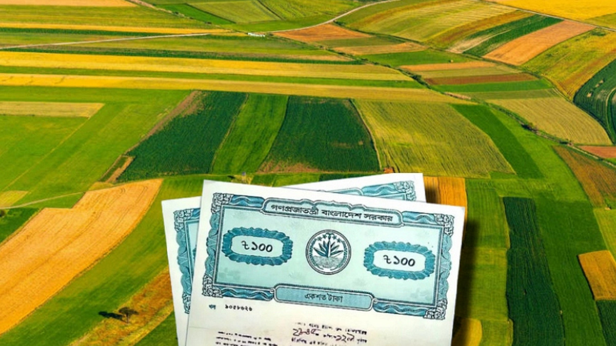 নতুন ভূমি আইন: বৈধ দলিল থাকলেও টিকবে না যেসব জমির দখল