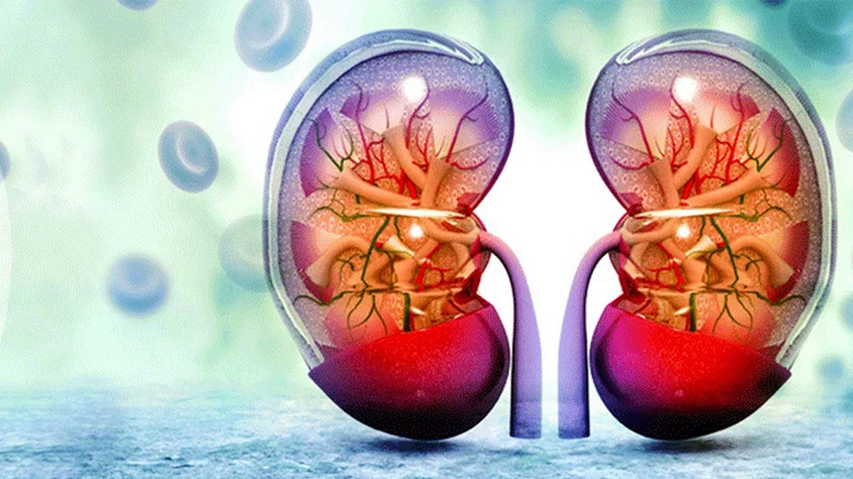 কিডনি বাঁচান: ভুল খাদ্যাভ্যাস বর্জন করুন, জরুরি সতর্কতা