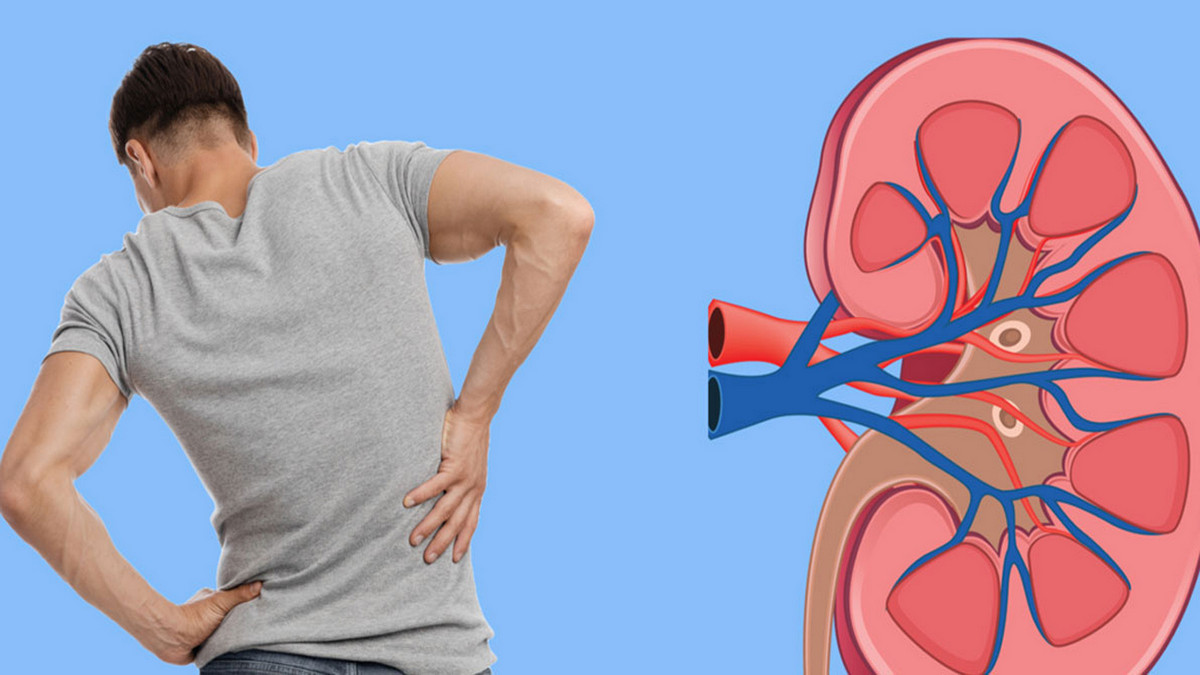 ৫টি সহজ টেস্টে কিডনির বিপদ ধরা পড়বে, খরচ কত?