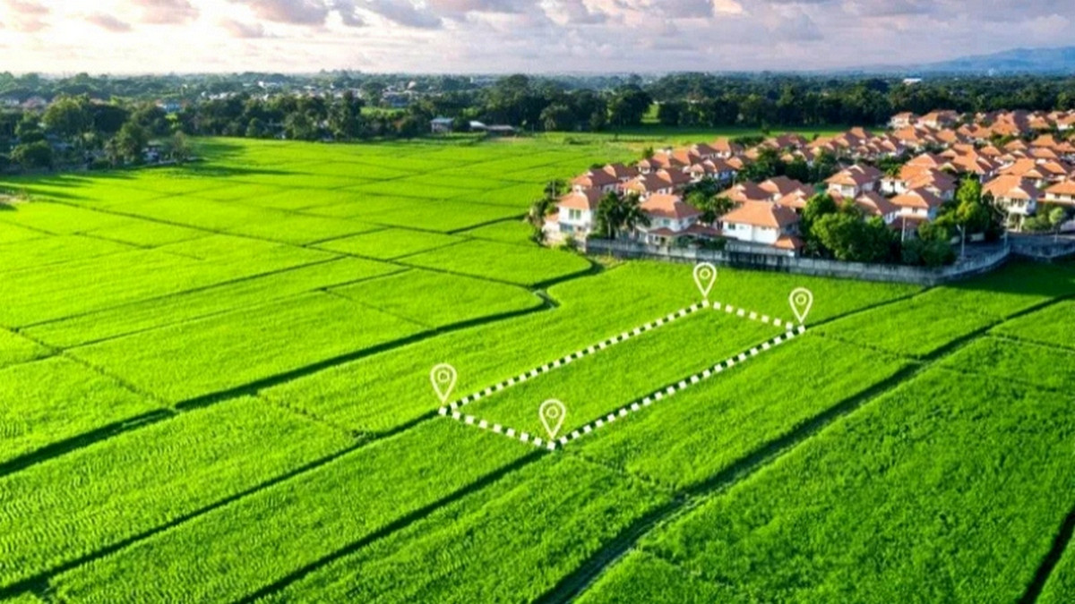 ৩ বছর খাজনা না দিলেই জমি খাস! আসছে মালিকানার স্মার্ট কার্ড