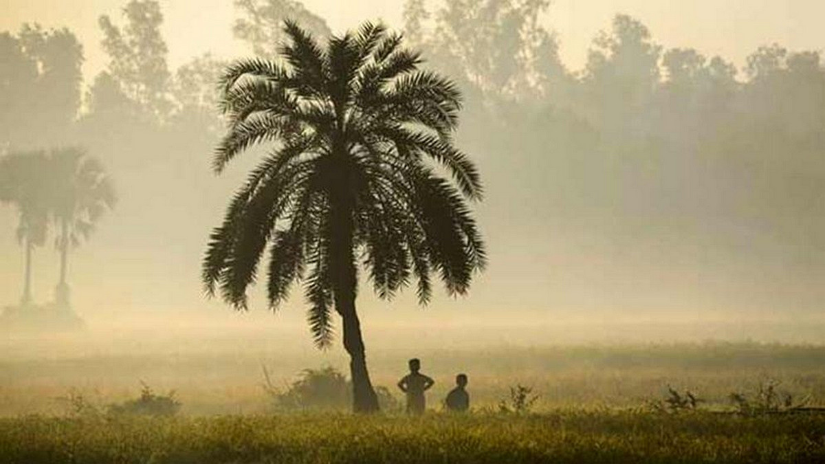 আজকের আবহাওয়ার খবর: ঘন কুয়াশা ও হিমেল বাতাসে কাঁপছে কুড়িগ্রাম