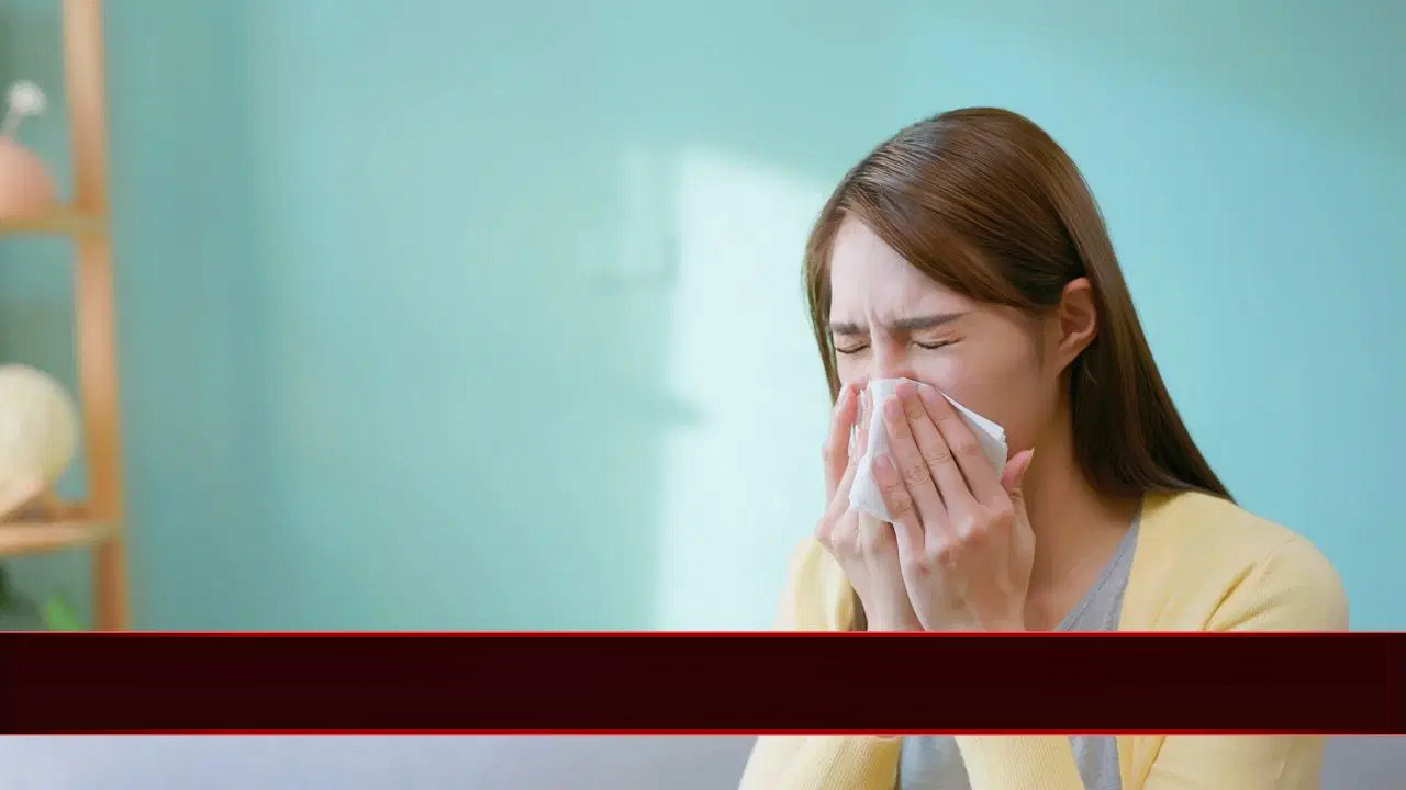 ডাস্ট অ্যালার্জি থেকে মুক্তি: ধুলো দূরে রাখার কার্যকরী ৫ স্মার্ট কৌশল